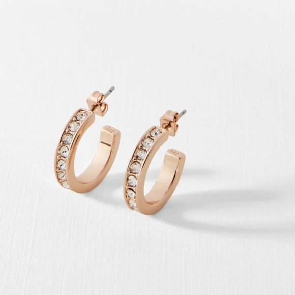 NEW Ted Baker Seanna Crystal Small Hoop Earrings - Picture 1 of 11